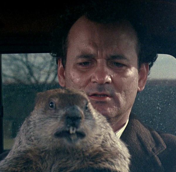 Bill Murray as Phil Connors and Punxsutawney Phil in the 1993 film Groundhog Day.