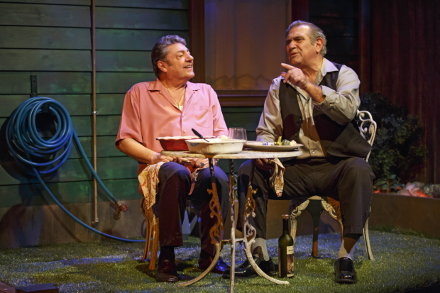 Richard Zavaglia (Dom) and Dan Lauria (Charlie) in Lauria&#39;s Dinner With the Boys, directed by Frank Megna, at the Acorn Theatre.