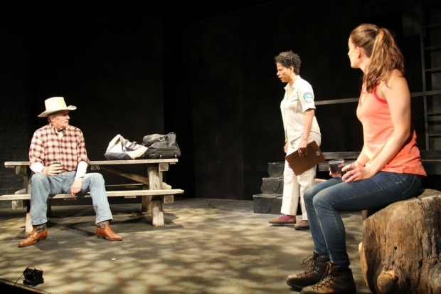 Stephen Bradbury, Kim Sykes, and Jessica DiGiovanni in Steven Somkin&#39;s Melissa&#39;s Choice, directed by Mel Cobb, at the Lion Theatre.  