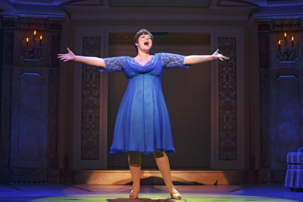 Lisa Howard is a 2015 Drama Desk Award nominee for her performance in the Broadway musical It Shoulda Been You.