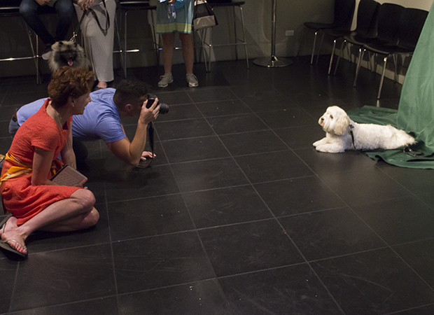 Julie White looks on as a pretty pup has some glamor shots taken.