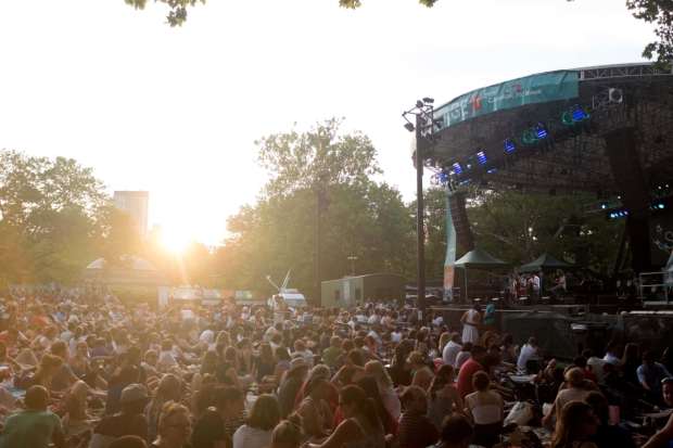 The crowd at Central Park&#39;s SummerStage.