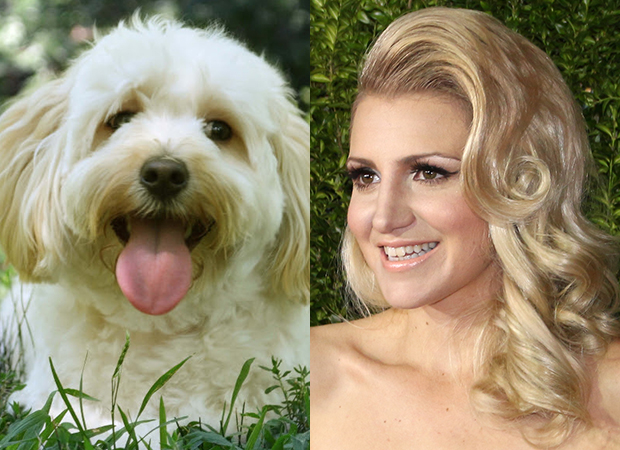 Alfie (left) will play the canine doppelgänger of Annaleigh Ashford (right) in the new Broadway production of Sylvia.