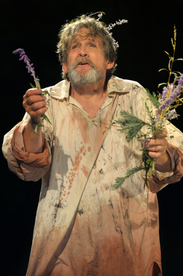 Anthony Heald stars in King Lear, playing now through October 11.