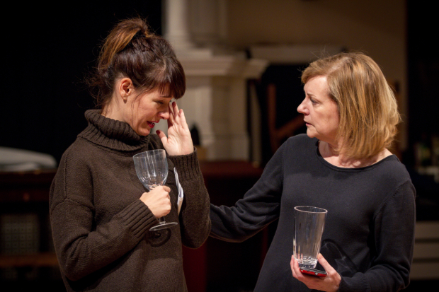 Beth Lacke plays Bobbie, with Mary Beth Fisher as Judy, in the Steppenwolf production of Domesticated by Bruce Norris.