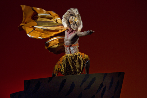The Lion King is one of many shows whose marking campaign is handled by Serino/Coyne.
