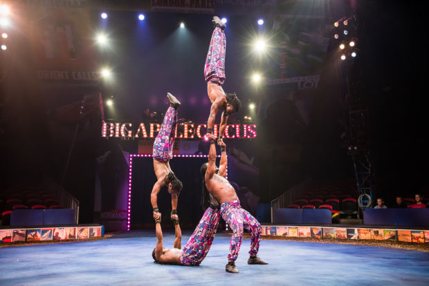 Big Apple Circus is back at Lincoln Center for the company&#39;s 38th season.