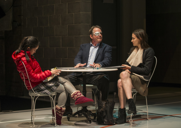 Emily Chang, Tom Irwin, and Melanie Neilan costar in Bill Irwin&#39;s Domesticated, a production of Steppenwolf Theatre Compant.