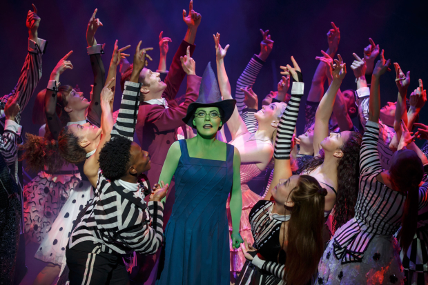 Rachel Tucker stars as Elphaba in the long-running Broadway production of Wicked.
