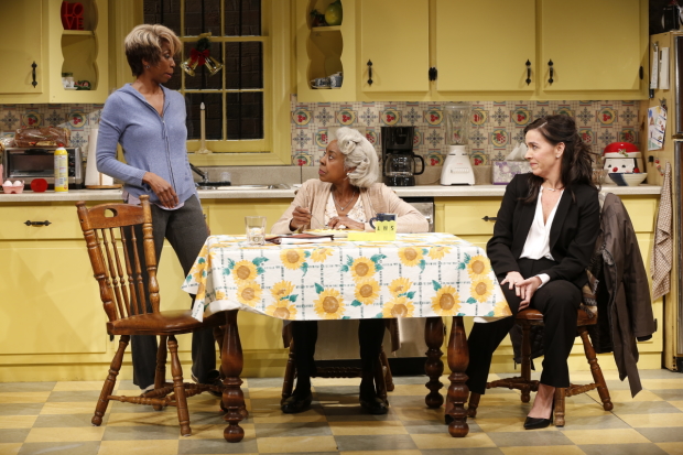 Sharon Washington, Marjorie Johnson, and Finnerty Steeves star in Colman Domingo&#39;s Dot, directed by Susan Stroman, at Vineyard Theatre.