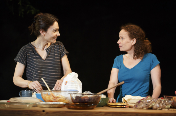 Annie Parisse and Maria Striar share the stage in a scene from Antlia Pneumatica. 