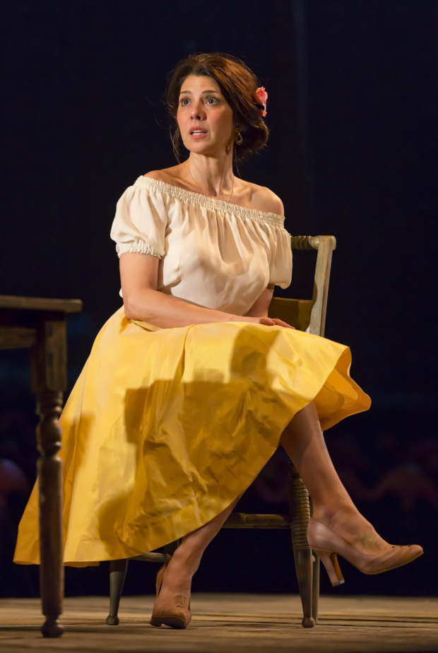 Marissa Tomei stars in Tennessee Williams&#39; The Rose Tattoo at Williamstown Theatre Festival.