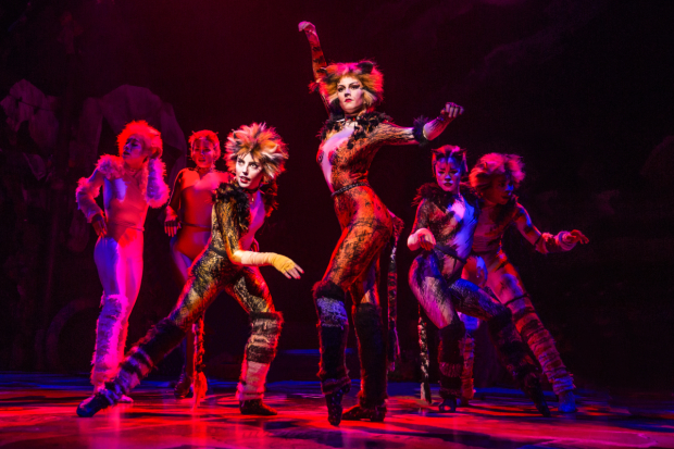 Kim Fauré plays Demeter and Christine Cornish Smith plays Bombalurina in Cats.