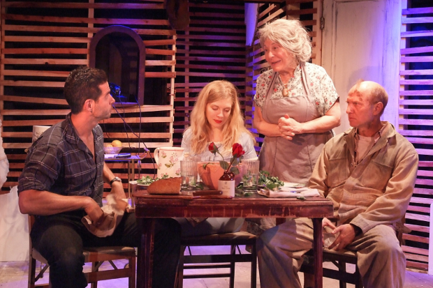 Daniel Bess, Lindsay LaVanchy, Karen Kondazian, and John Prosky in Pierre Laville and Emily Mann&#39;s adaptation of Tennessee Williams&#39; Baby Doll, directed by Simon Levy, at the Fountain Theatre.