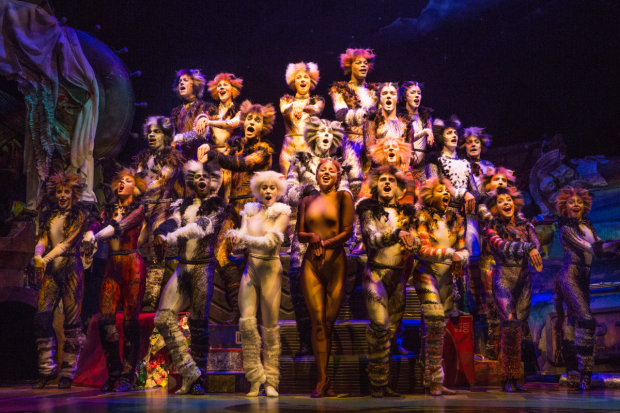 The Broadway revival cast of Cats at the Neil Simon Theatre.