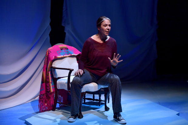 Melinda Lopez in her self-penned solo play Mala, directed by David Dower, for ArtsEmerson.