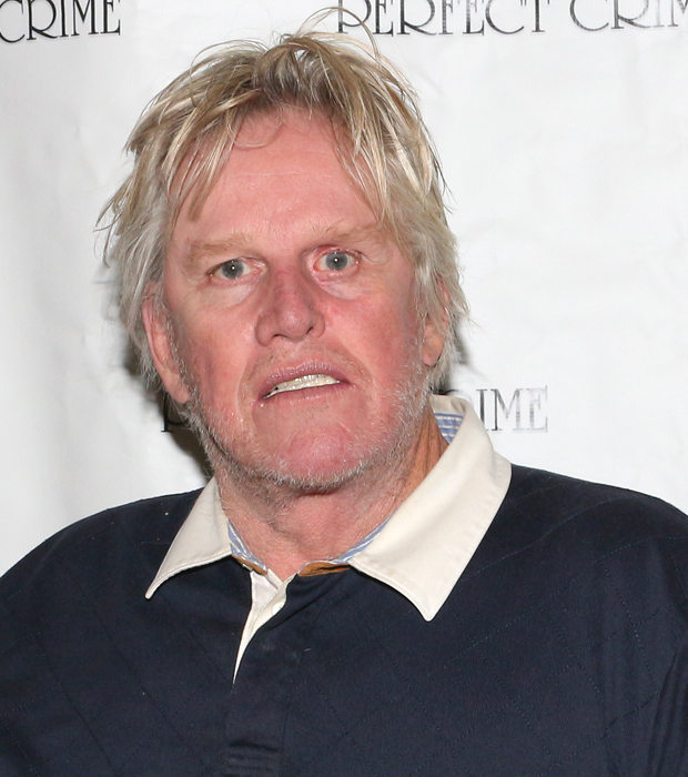 Gary Busey makes his stage debut in Perfect Crime.
