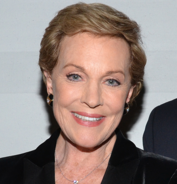 Julie Andrews is the star of the new Netflix series Julie&#39;s Greenroom.