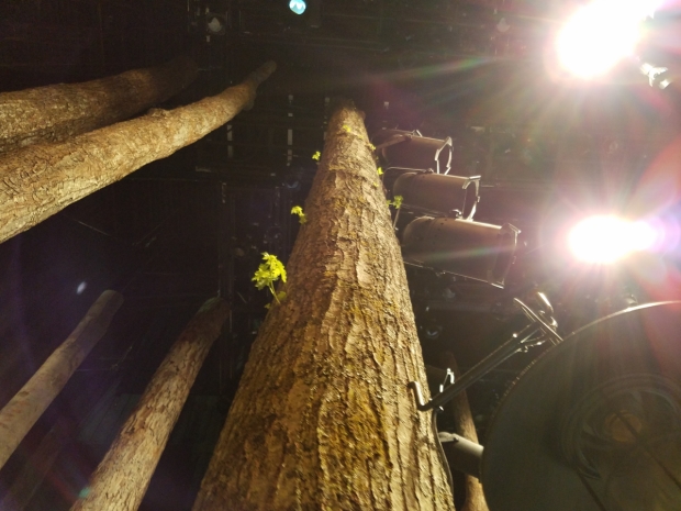 New leaves and branches grow on one of the tree trunks in the set of Come From Away.