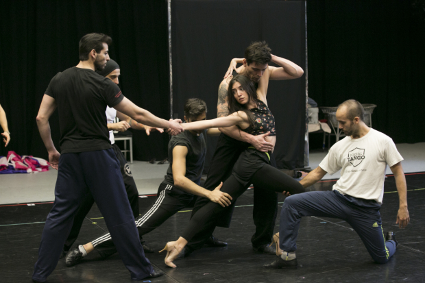 The cast of Arrabal, directed by Sergio Trujillo, in rehearsal at American Repertory Theater.