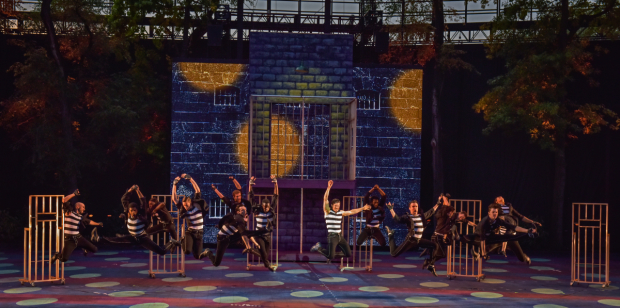 The cast of All Shook Up, directed by Dan Knechtges, at The Muny.