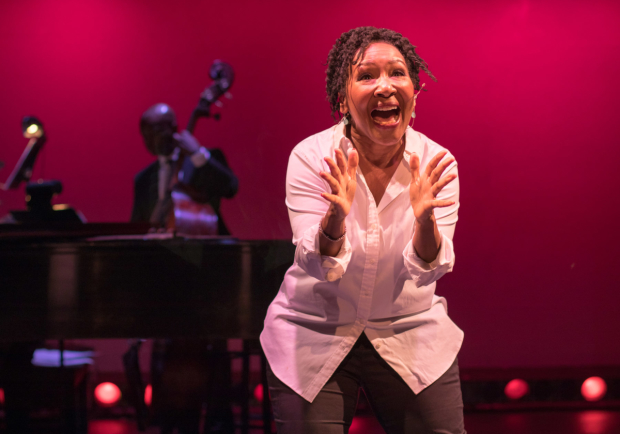Andrea Frierson wrote and performs the new one-woman musical directed by Murphy Cross and Paul Kreppel.