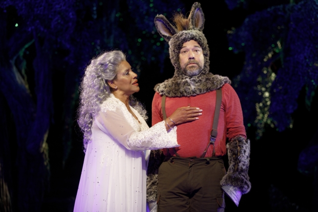Phylicia Rashad plays Titania, and Danny Burstein plays Nick Bottom in A Midsummer Night&#39;s Dream.