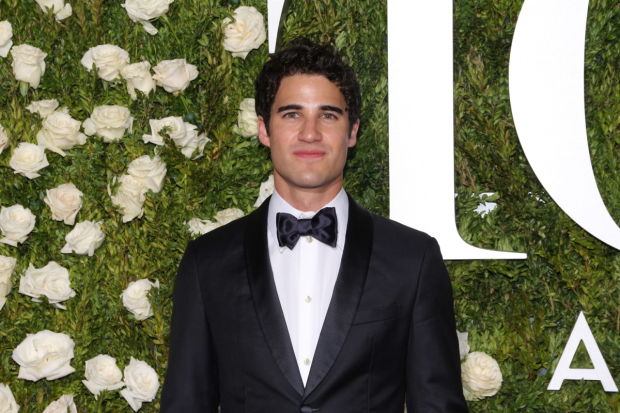 Darren Criss will be a headliner at the Third Annual Elsie Fest, a one-day outdoor music festival he cofounded.