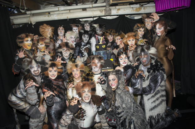 The cast of Cats celebrates one year on Broadway.
