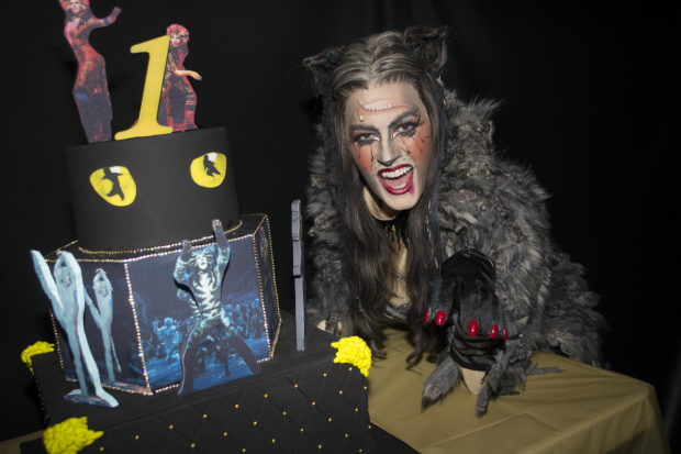 The cast of cats received a kitty cake.