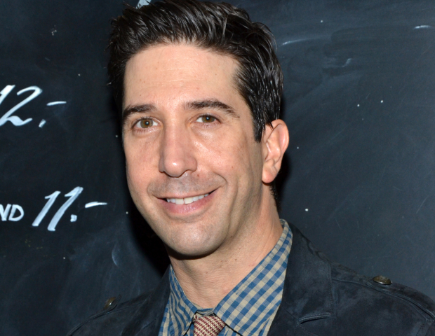 David Schwimmer will direct Plantation! at Lookingglass Theatre.
