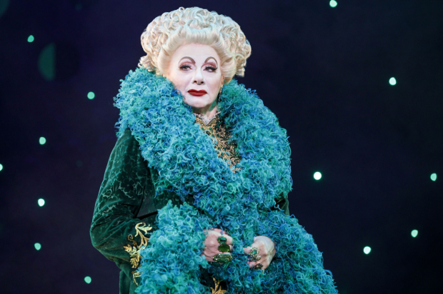 Rondi Reed as Wicked&#39;s Madame Morrible.