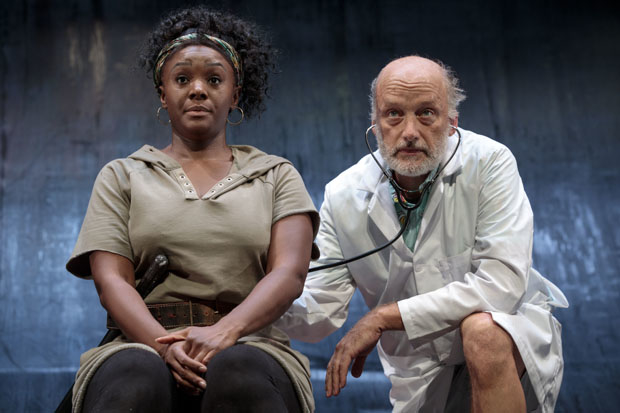 Saycon Sengbloh plays Hester, and Frank Wood plays The Doctor in In the Blood.