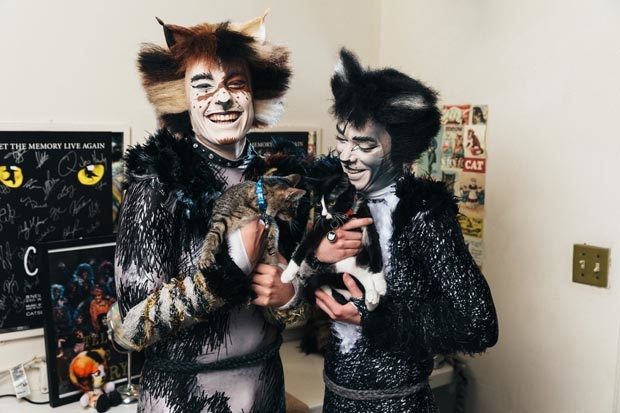Joshua Michael Burrage and Robbie Nicholson play with a pair of cats backstage at the Neil Simon Theatre to raise awareness for shelter pet adoption.