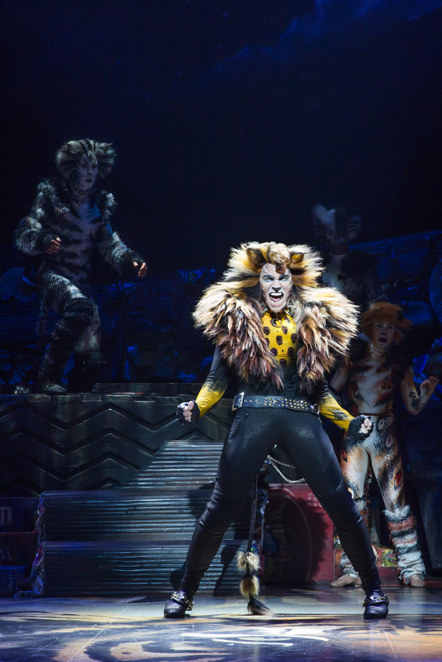 Tyler Hanes as Rum Tum Tugger in Cats at Broadway&#39;s Neil Simon Theatre.