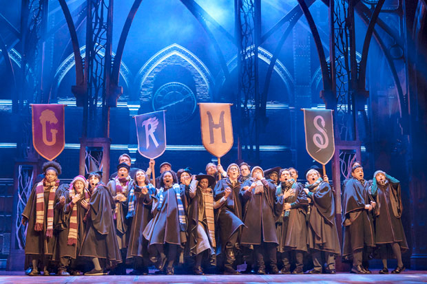 Harry Potter and the Cursed Child is set to make an appearance at this year&#39;s Stars in the Alley concert.