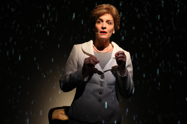 Laura Bush Killed a Guy imagines Laura Bush (Lisa Hodsoll) telling three different stories about a fatal car accident.