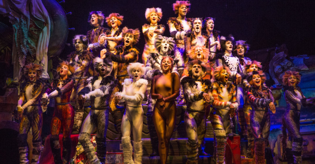 A release date has been set for the film adaptation of Cats.