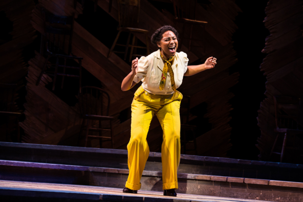Adrianna Hicks leads the cast of The Color Purple at Paper Mill Playhouse.