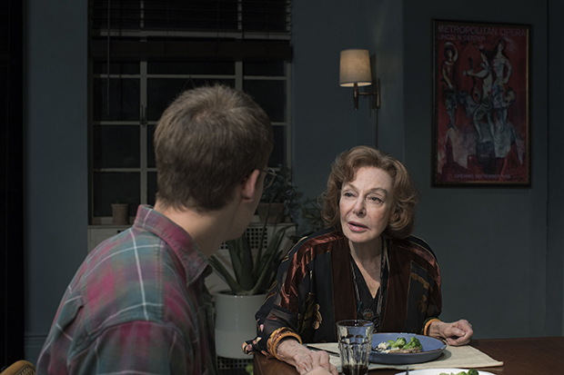 Lucas Hedges and Elaine May star in Kenneth Lonergan&#39;s The Waverly Gallery, directed by Lila Neugebauer, at Broadway&#39;s Golden Theatre.