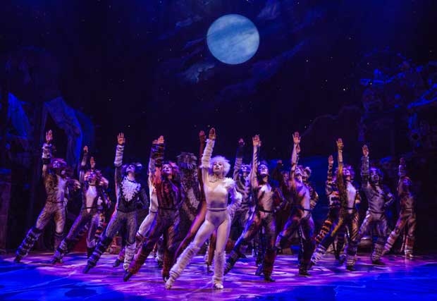 A scene from Cats on Broadway.