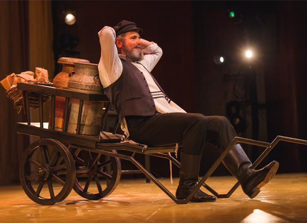 Steven Skybell as Tevye in the National Yiddish Theatre Folksbiene production of Fiddler on the Roof, directed by Joel Grey.