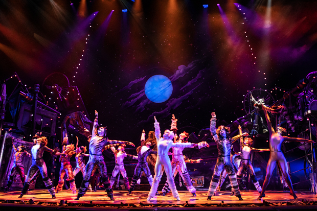 A scene from the national tour of Cats.