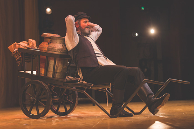 Steven Skybell as Tevye in the National Yiddish Theatre Folksbiene production of Fiddler on the Roof.