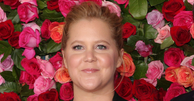 Amy Schumer is expected to star in a film version of The Humans.