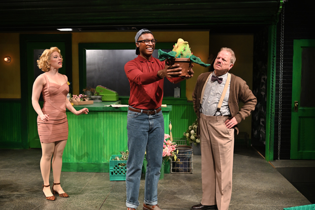 Rebecca Gibel, Jude Sandy, and Stephen Berenson star in Trinity Rep&#39;s new production of Little Shop of Horrors.