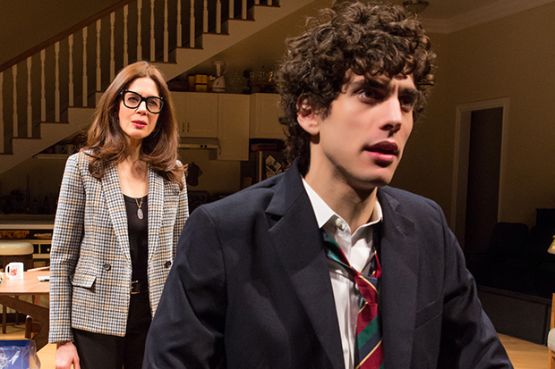 Jessica Hecht and Ben Edelman starred in the world premiere of Joshua Harmon&#39;s Admissions at the Lincoln Center. The play went on to win both Drama Desk and Outer Critics Circle Awards.