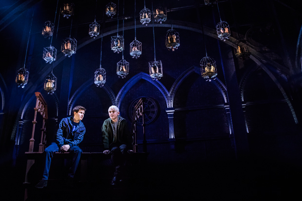 Nicholas Podany and Bubba Weiler star in Harry Potter and the Cursed Child.