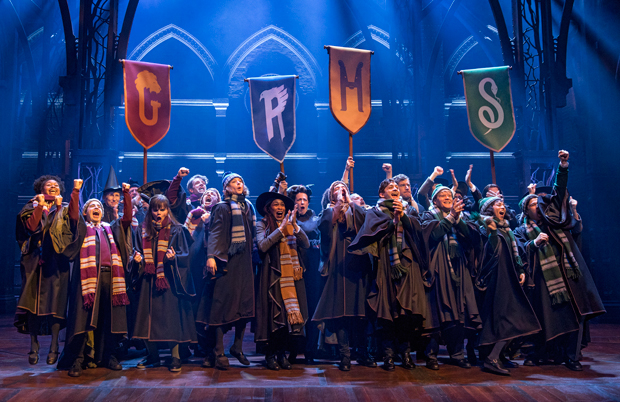 Harry Potter and the Cursed Child is running at the Lyric Theatre.