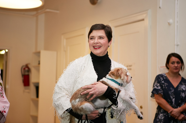 Isabella Rossellini and her dog, Pan, celebrated the opening of her new show Link Link Circus.